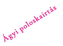 Ágyi poloskairtás